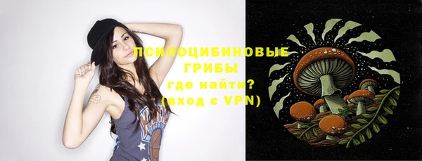 MDMA Premium VHQ Богородицк
