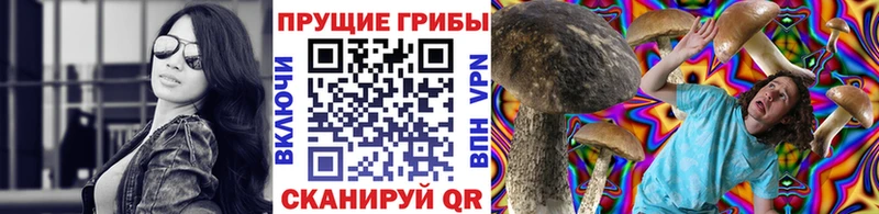 Галлюциногенные грибы ЛСД  Карачаевск 